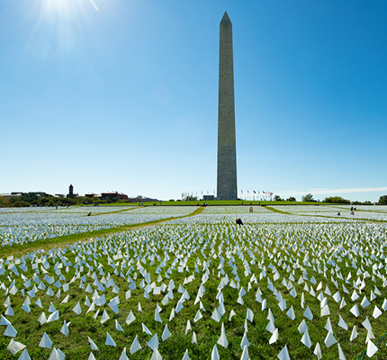 华盛顿特区华盛顿特区，华盛顿华盛顿纪念碑前的草地上插着许多白旗