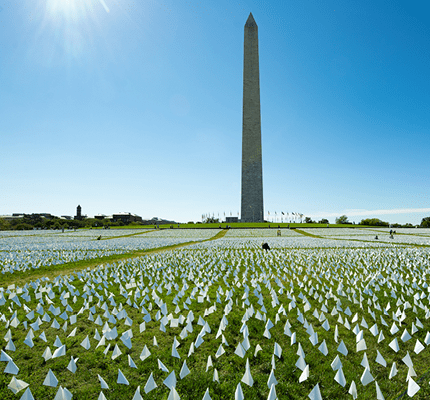 华盛顿特区华盛顿特区，华盛顿华盛顿纪念碑前的草地上插着许多白旗